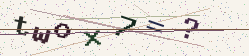 Security check image